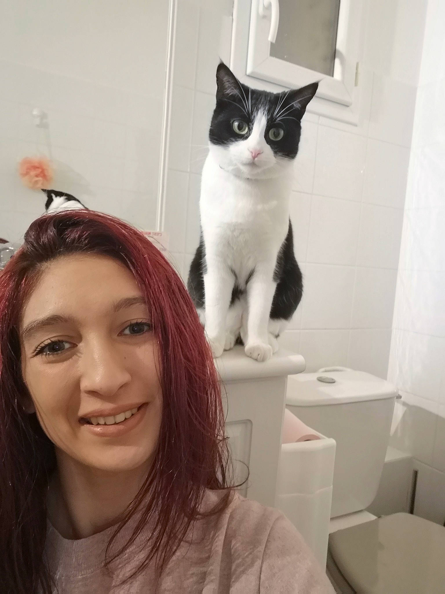 Celeste participe au concours pour gagner de l'argent avec cette photo : black_hair, carnivore, cat, domestic_short_haired_cat, ear, eye, eyebrow, felidae, head, long_hair, plumbing_fixture, selfie, skin, small_to_medium_sized_cats, whiskers