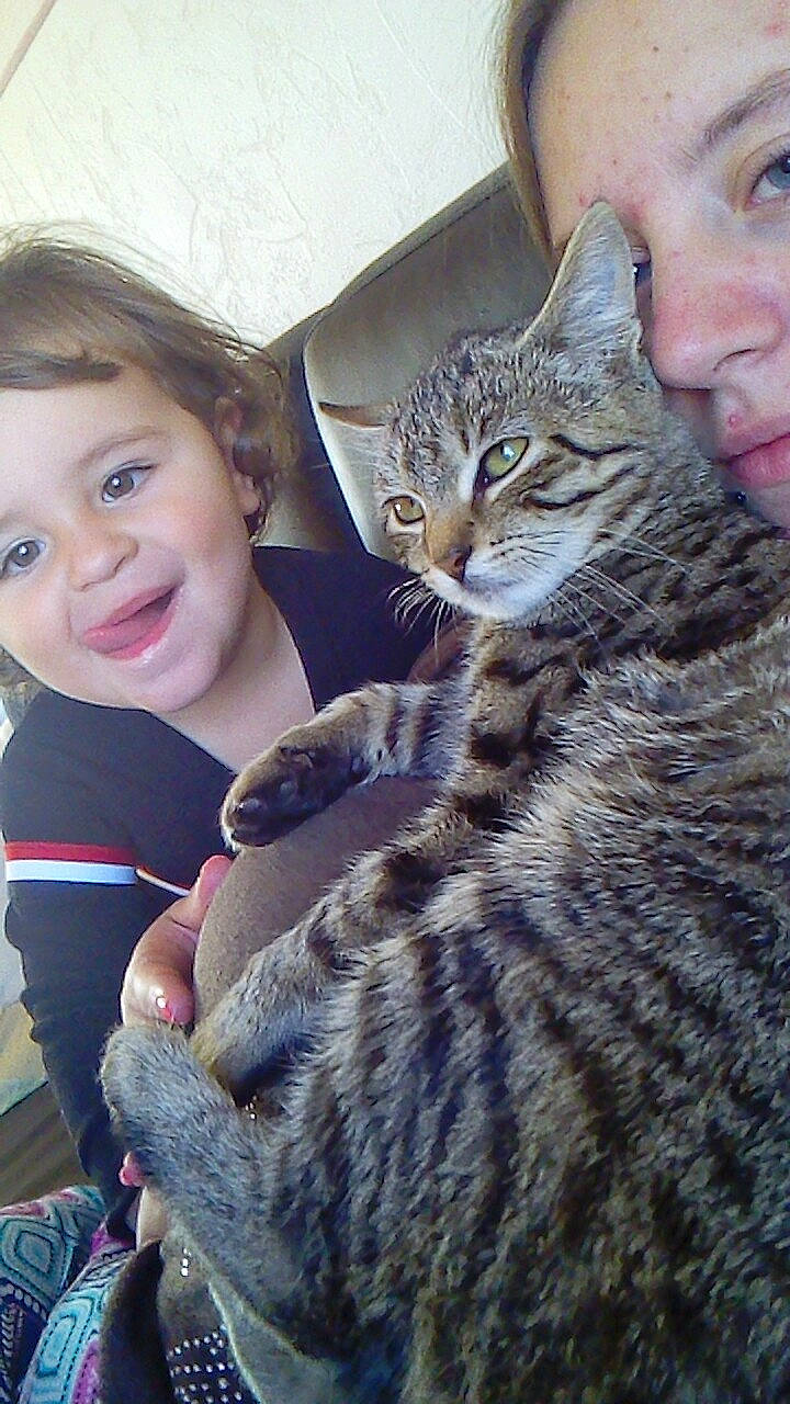 Jewel participe au concours pour gagner de l'argent avec cette photo : carnivoran, cat, cat_like_mammal, domestic_short_haired_cat, eye, face, fur, girl, head, iris, kitten, mammal, organ, person, skin, small_to_medium_sized_cats, smile, tabby_cat, vertebrate, whiskers