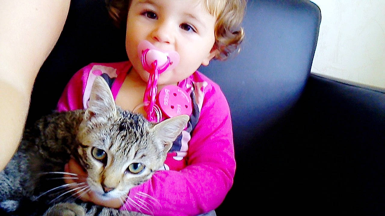 Emylianna participe au concours pour gagner de l'argent avec cette photo : carnivoran, cat, cat_like_mammal, child, ear, eye, girl, kitten, mammal, organ, person, product, skin, small_to_medium_sized_cats, toddler, vertebrate