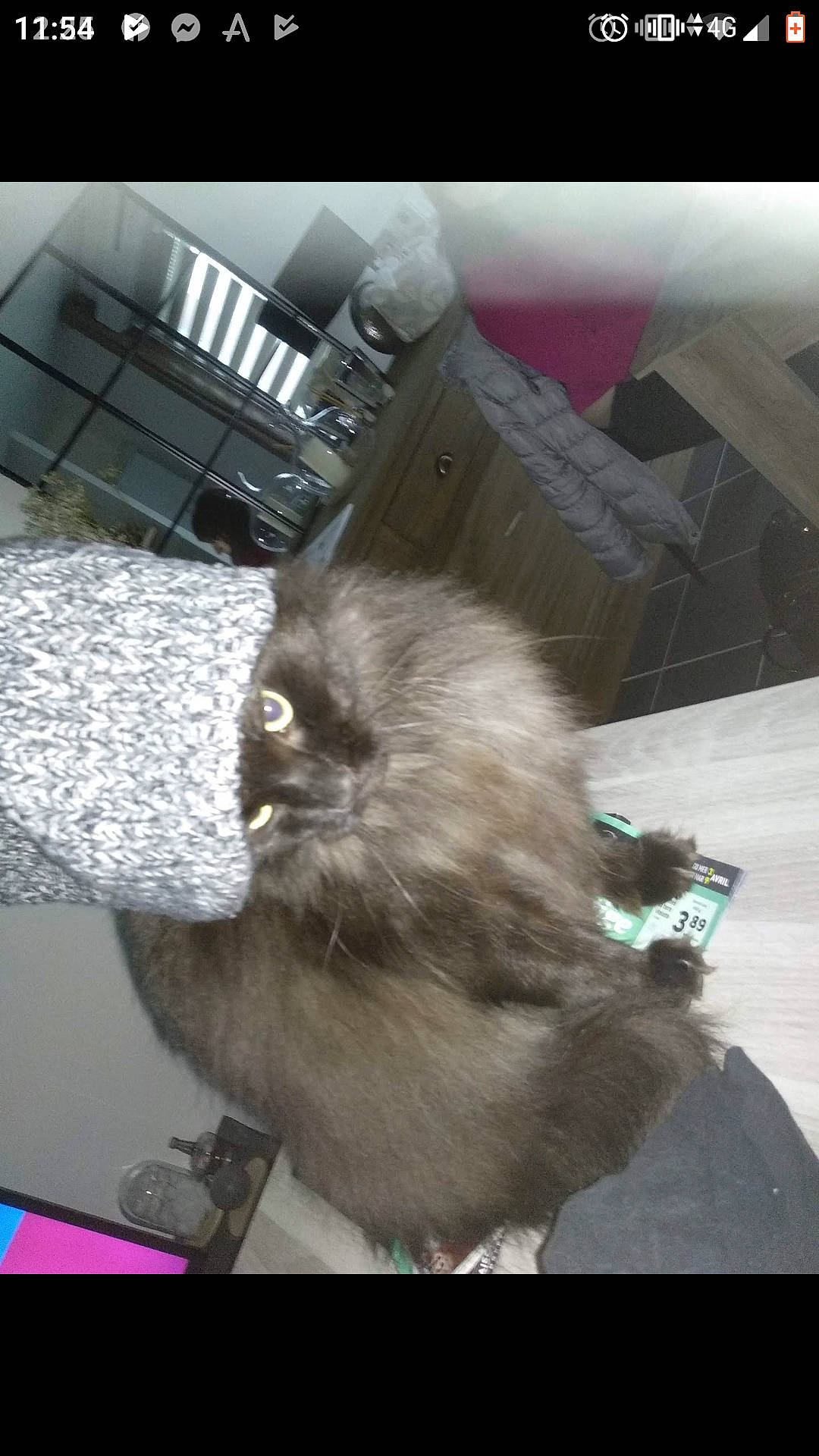 Blue participe au concours pour gagner de l'argent avec cette photo :