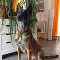 Ghislaine Z.