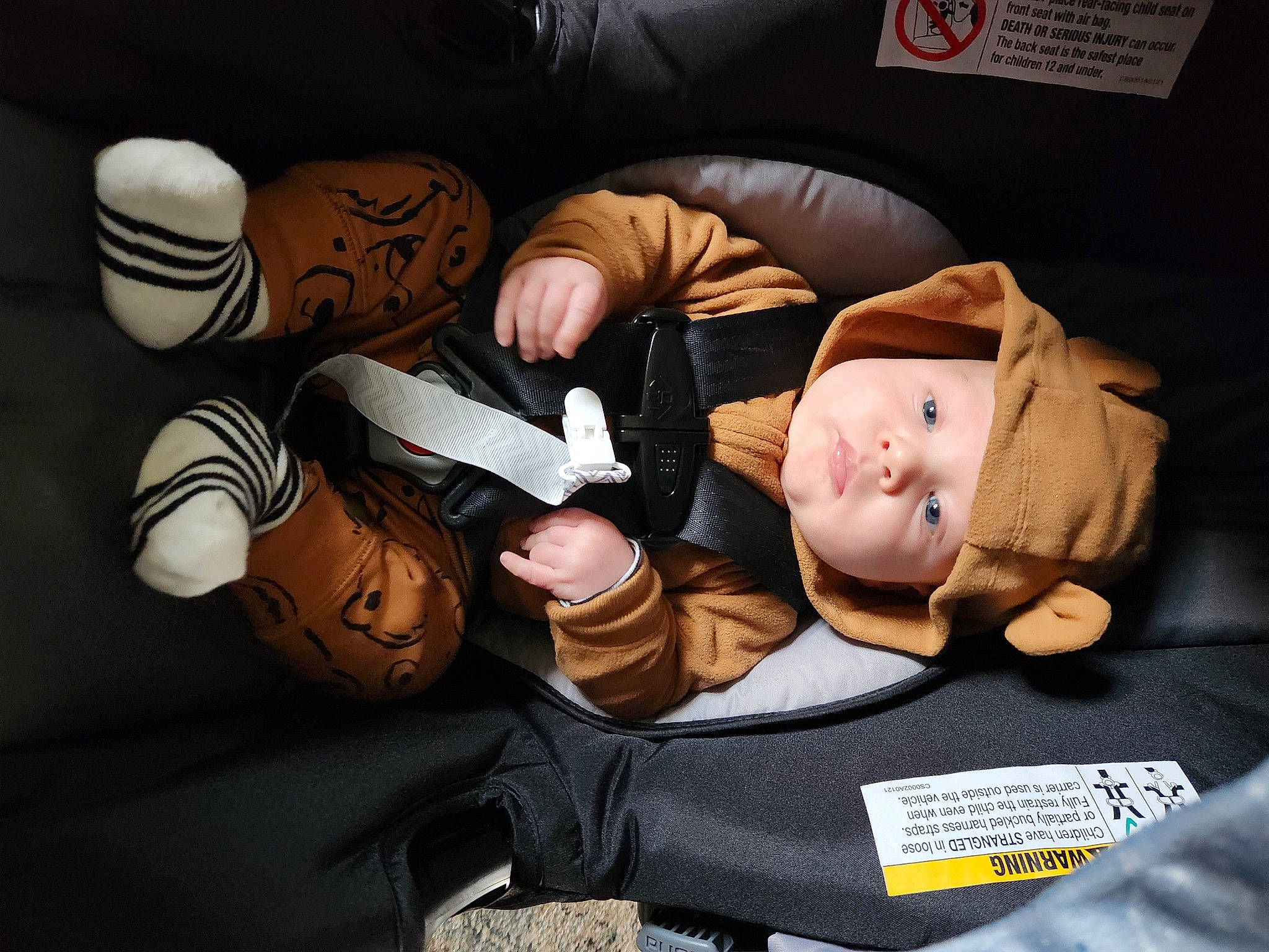 Zayden joined the competition — help win amazing prizes! animation, art, child, comfort, doll, event, fiction, finger, font, gesture, headgear, headwear, mammal, nail, person, room, sitting, thumb, toy, vertebrate