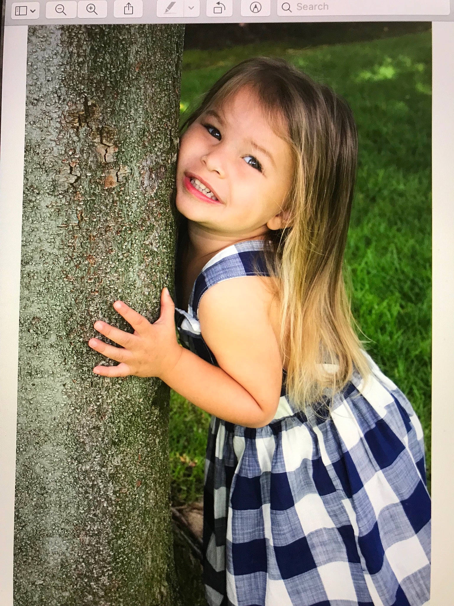 Annabella Grace joined the competition — help win amazing prizes! beauty, brown_hair, child, child_model, eye, face, grass, hair, hairstyle, joy, long_hair, person, photograph, photography, plant, portrait, portrait_photography, skin, smile, snapshot