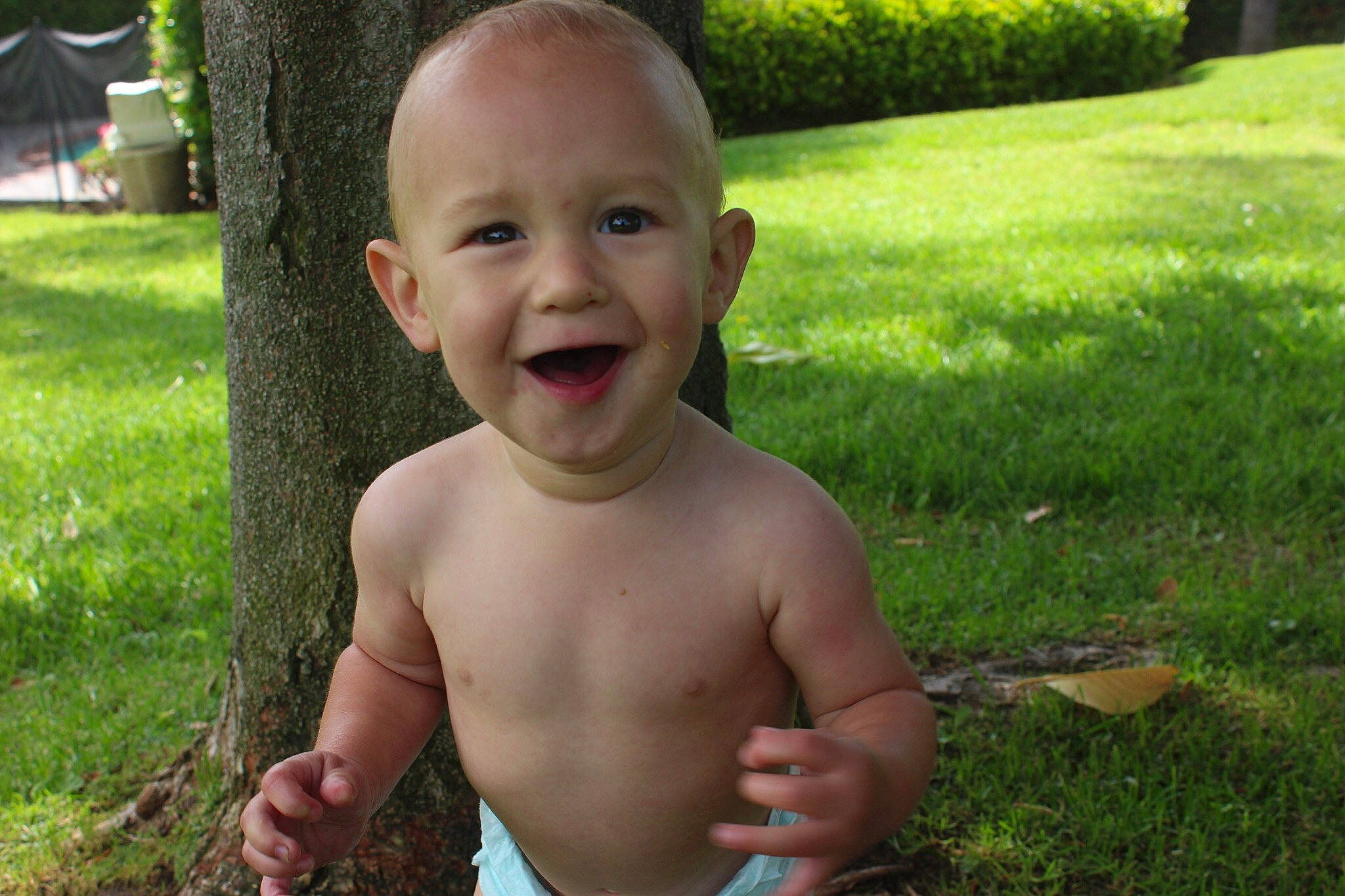 Shepherd joined the competition — help win amazing prizes! baby, barechested, chest, child, face, facial_expression, grass, happy, head, jaw, male, mouth, nose, organ, person, skin, smile, summer, toddler, tooth