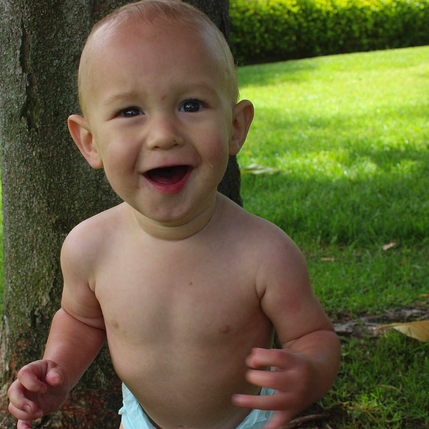 Shepherd joined the competition — help win amazing prizes! baby, barechested, chest, child, face, facial_expression, grass, happy, head, jaw, male, mouth, nose, organ, person, skin, smile, summer, toddler, tooth