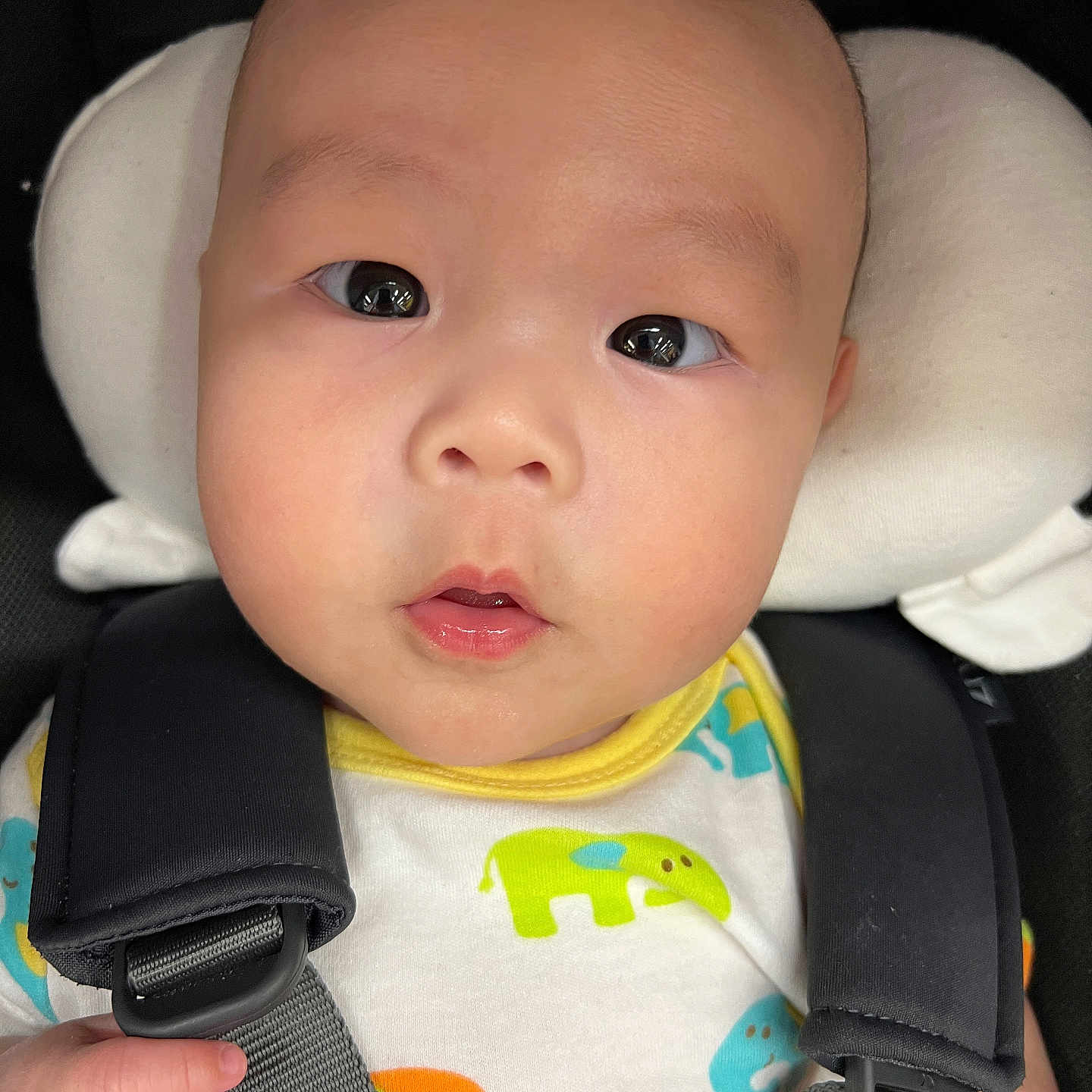 Yooahn is registered to the contest to win money with this photo: accessories, baby, belt, bodypart, car, car_interior, carseat, cushion, face, finger, hand, head, headrest, homedecor, person, photography, portrait, seatbelt, transportation, vehicle