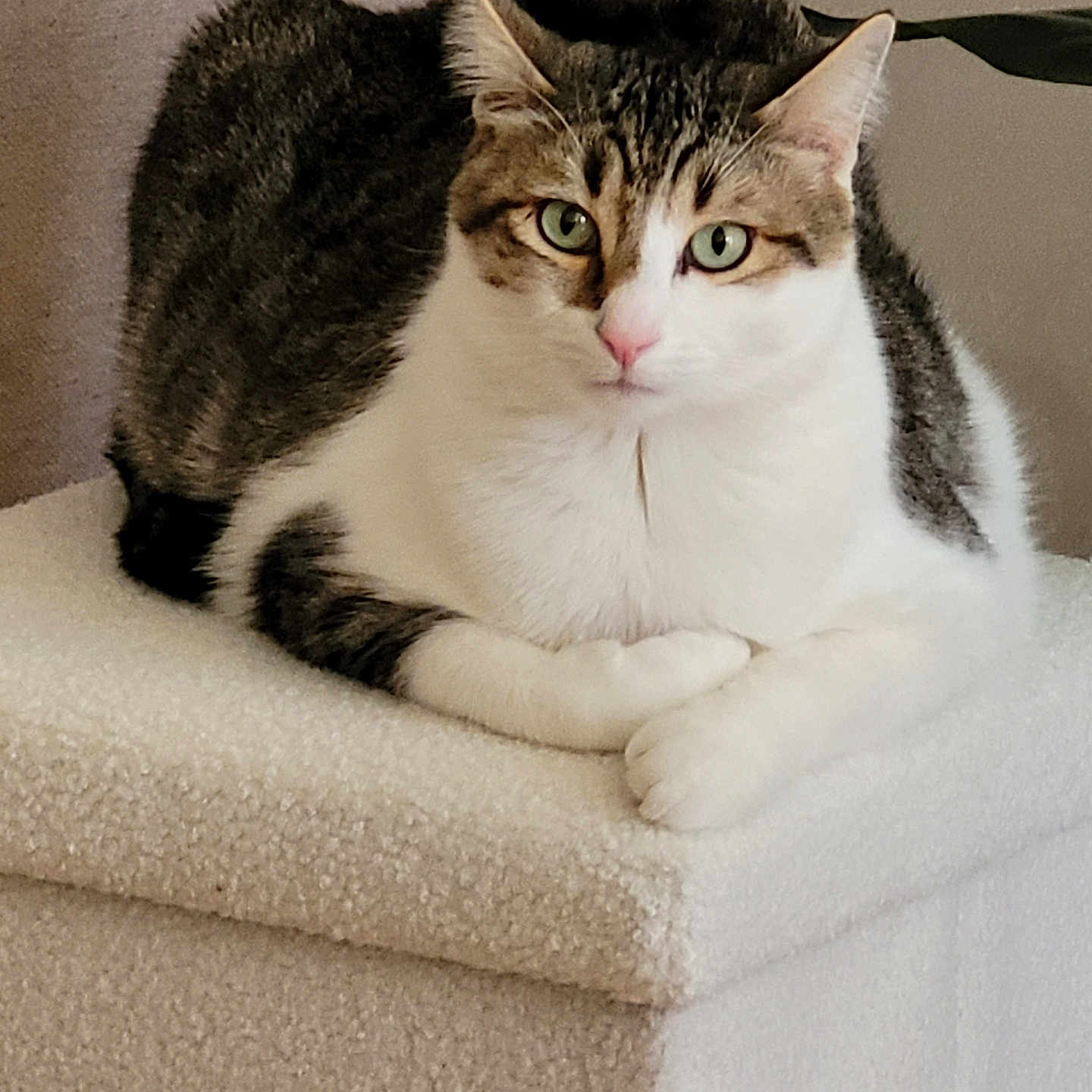 Sam