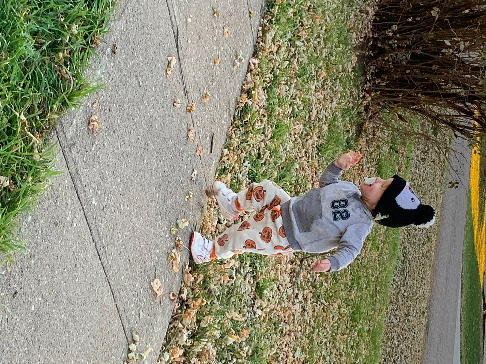 Onalya joined the competition — help win amazing prizes! asphalt, child, concrete, curb, deciduous, grass, grass_family, headwear, human_leg, leaf, leisure, people_in_nature, person, plant, recreation, road, road_surface, shadow, sidewalk, soil