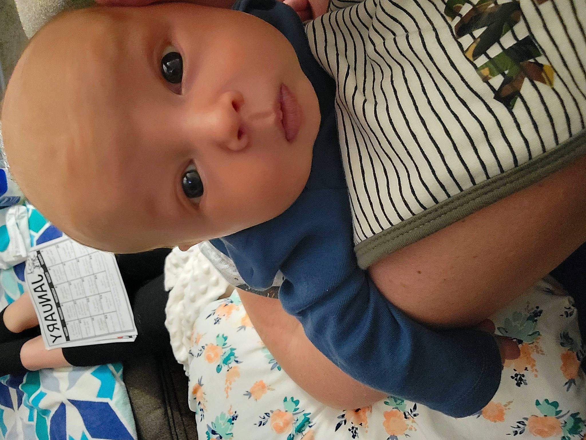 Boone joined the competition — help win amazing prizes! arm, baby, baby_toddler_clothing, cheek, child, dress, eye, eyelash, grass, happy, human_body, iris, lip, nose, people, person, plant, skin, t_shirt, toddler