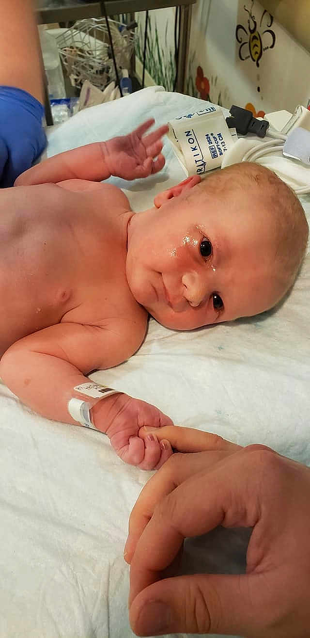 Dante H Sandberg