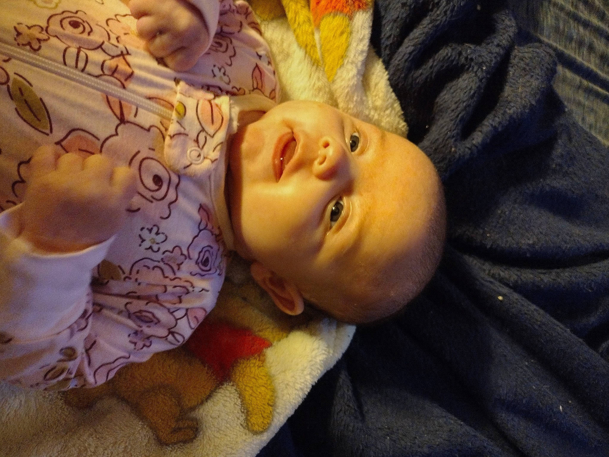 Lilly joined the competition — help win amazing prizes! art, baby, baby_products, baby_toys, cheek, child, doll, eyelash, fawn, fun, fur, happy, linens, person, plush, room, stuffed_toy, sweetness, toy, visual_arts