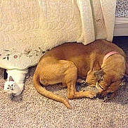 Baby Boi is registered to the contest to win money with this photo: