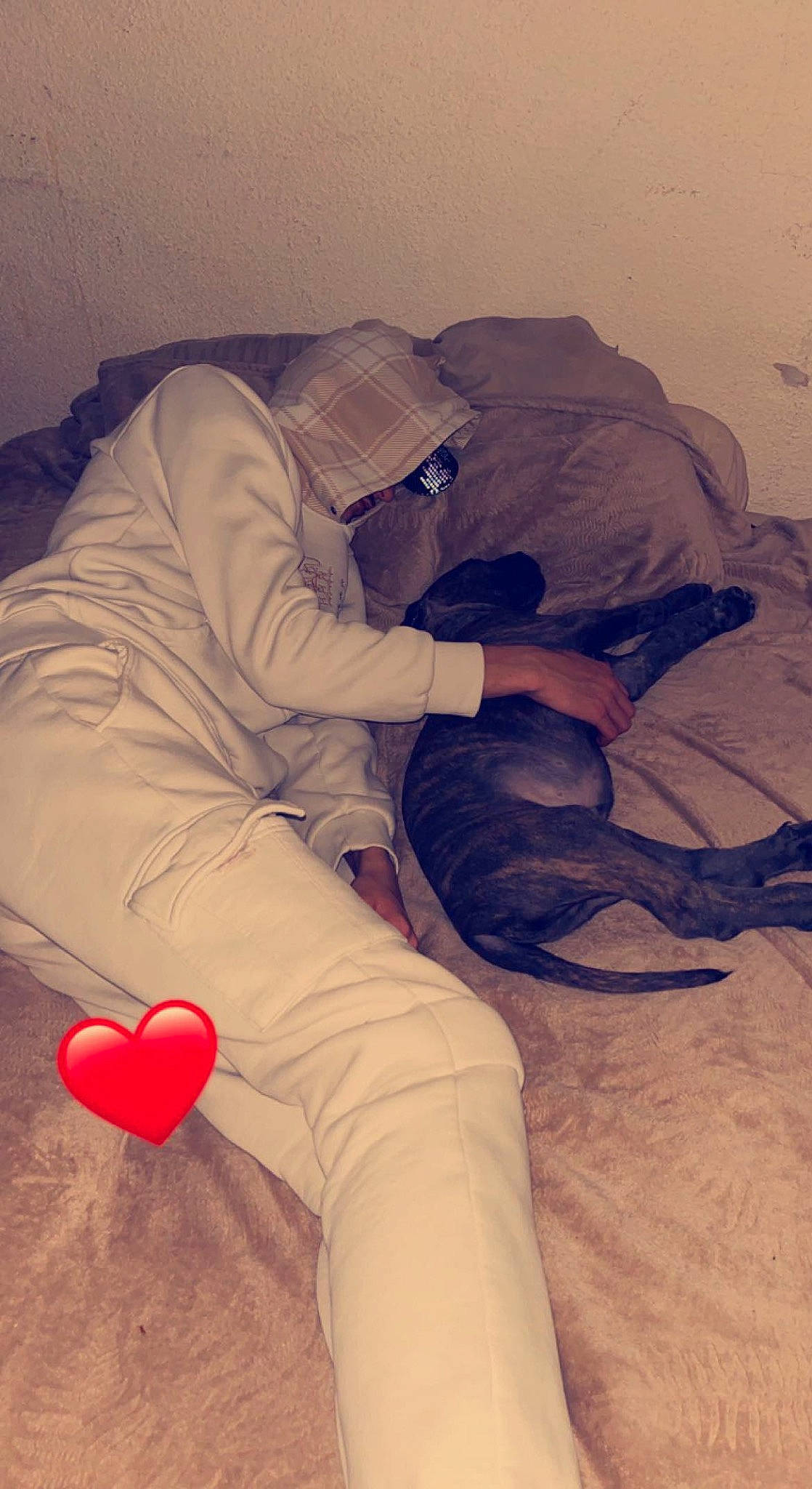 Chien participe au concours pour gagner de l'argent avec cette photo : bed_sheet, bedding, carmine, comfort, elbow, flesh, flooring, fun, fur, hand, human_leg, knee, leg, linens, mammal, room, shadow, sitting, thigh, tints_and_shades