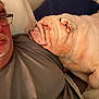 adult, animal, bed, bulldog, casual, closeup, comfort, dog, facial_hair, friendship, glasses, indoor, man, pet, pillow, portrait, relaxation, resting, sleeping, warm_lighting