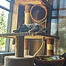 Patitah joined the competition — help win amazing prizes! animal, cat, cat_tree, cozy, curtain, daylight, domestic, furniture, hammock, indoor, pet, quiet, relaxed, resting, rope, sleeping, sunlight, tube, window, wooden_wall