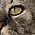 Minette