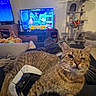 cat, tabby_cat, video_game_controller, tv_screen, gaming, couch, person, cat_tree, living_room, window, indoor, relaxation, pets, electronics, furniture, playful, cozy, home, technology, animal