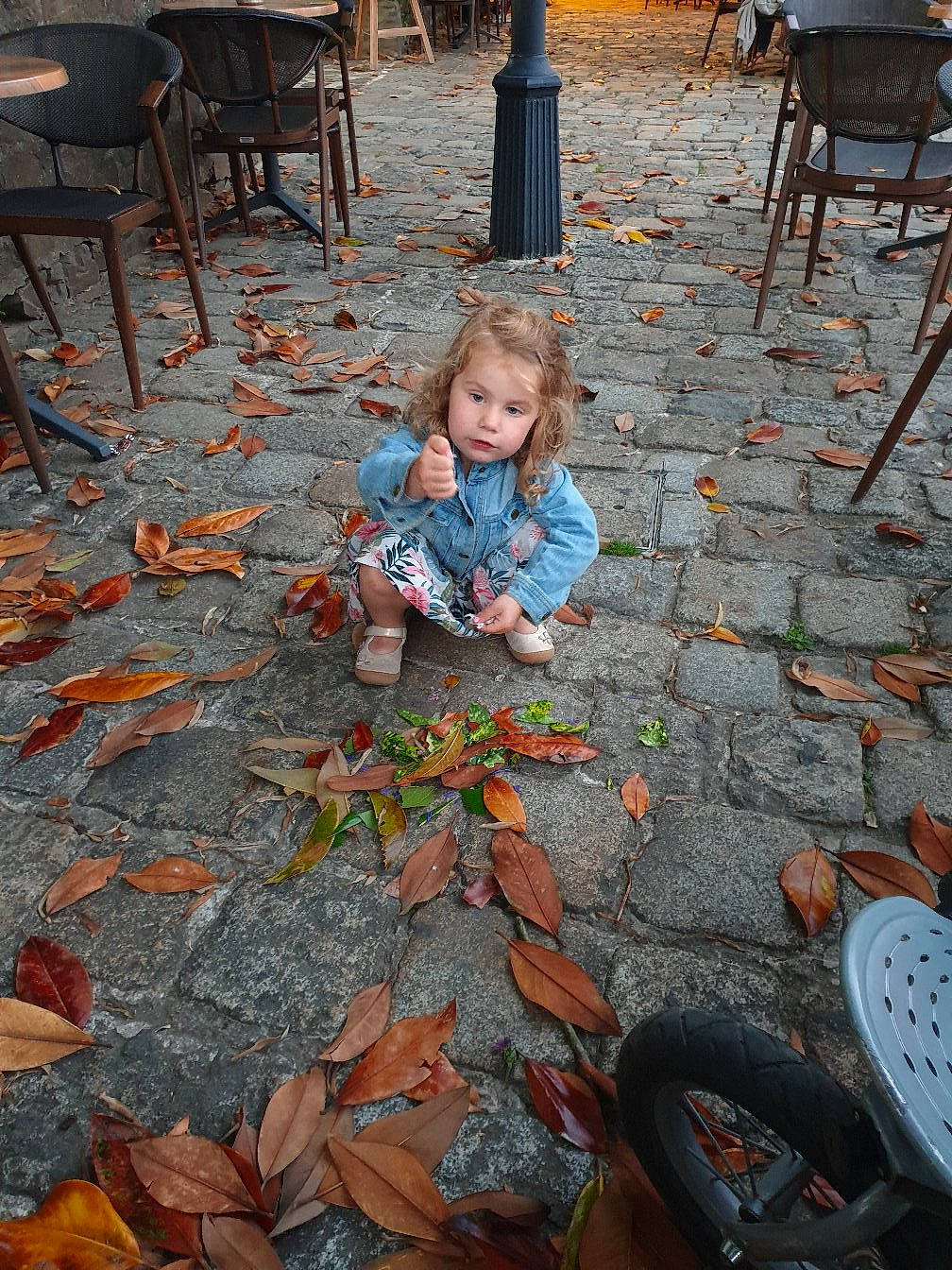 Maïlys participe au concours pour gagner de l'argent avec cette photo : adaptation, asphalt, baby, black, chair, deciduous, flooring, grass, leaf, leg, leisure, morning, people, person, photograph, public_space, road_surface, sidewalk, toddler, tree