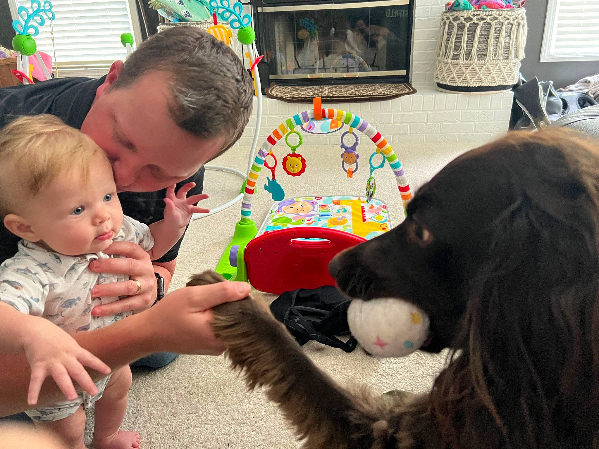 Journie is registered to the contest to win money with this photo: baby, baby_toddler_clothing, canidae, carnivore, companion_dog, dog, dog_breed, event, fun, gun_dog, happy, leisure, liver, play, sharing, snout, sporting_group, toddler, toy, working_animal