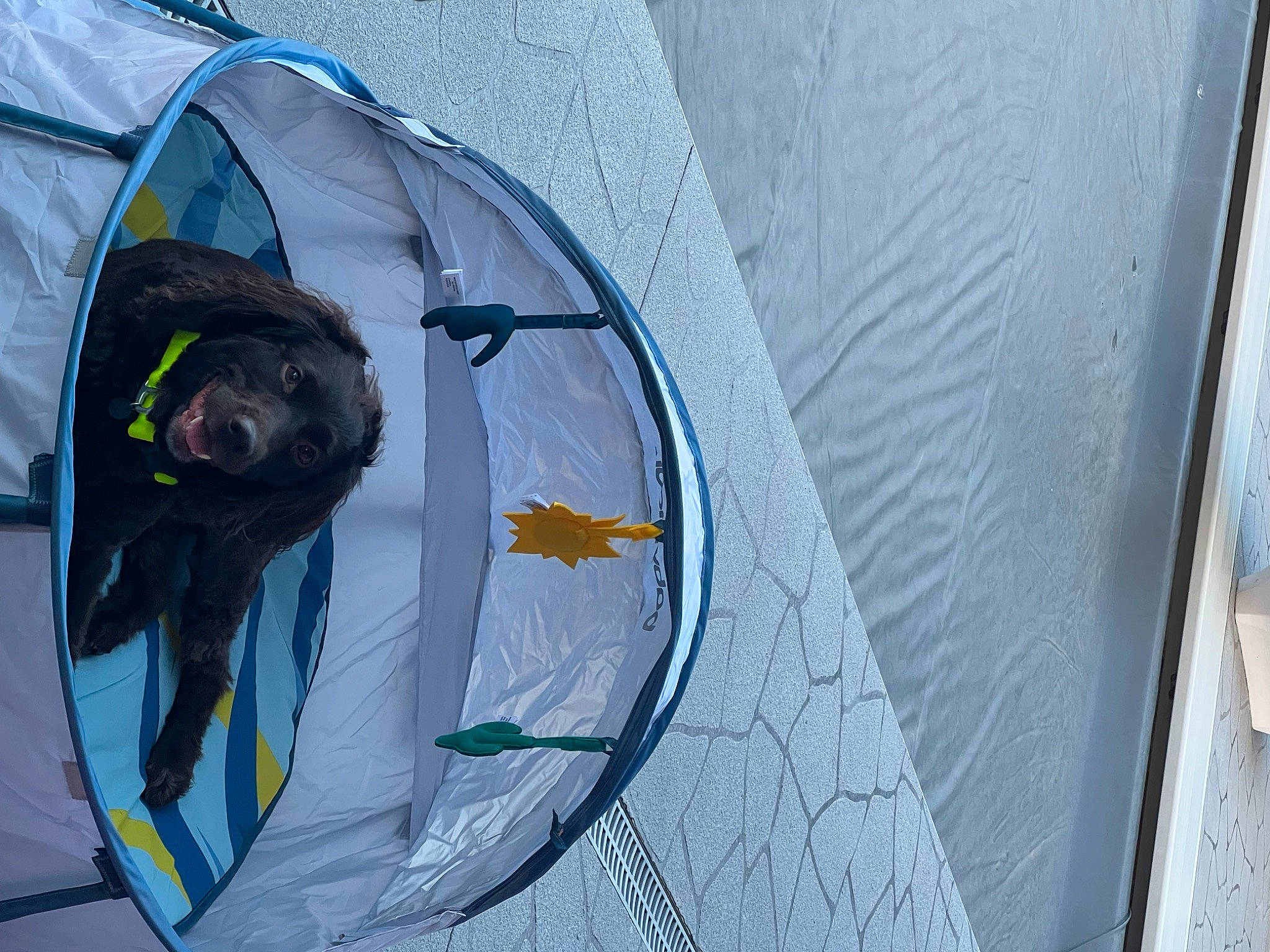 Journie joined the competition — help win amazing prizes! azure, electric_blue, fashion_accessory, grey, personal_protective_equipment, raincoat, recreation, shade, sleeve, tarpaulin, tints_and_shades, visual_arts