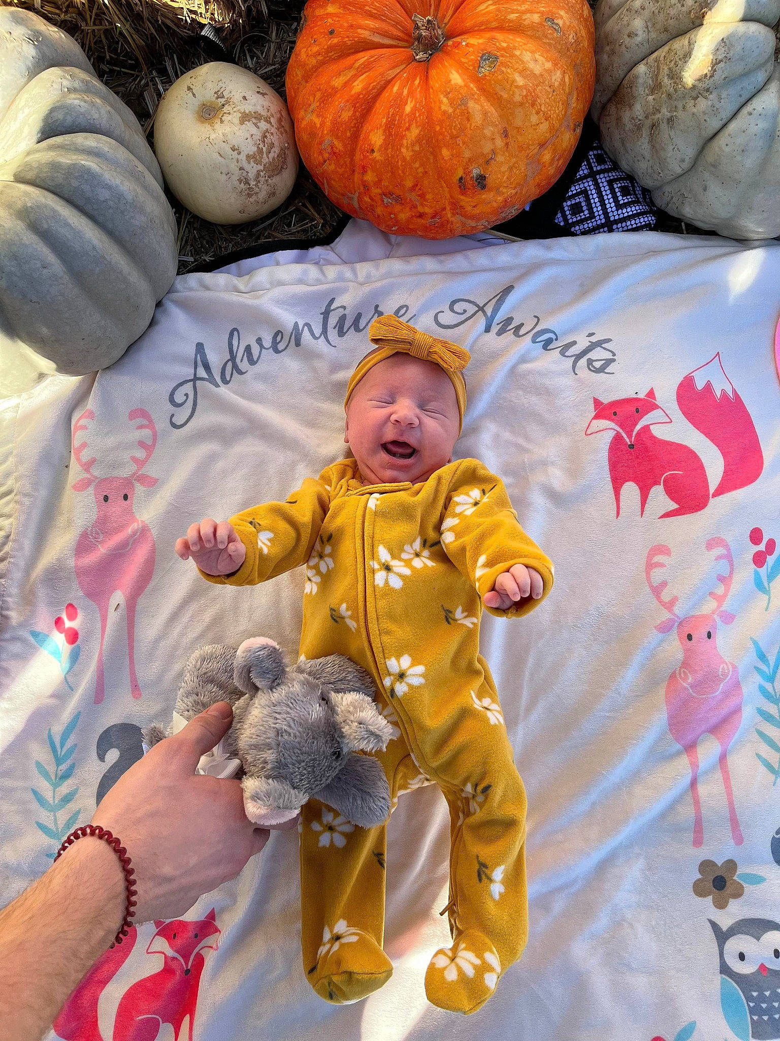 Dawn is registered to the contest to win money with this photo: baby_toddler_clothing, calabaza, cucurbita, fun, gourd, green, happy, human_body, natural_foods, orange, organ, people, person, photograph, plant, pumpkin, squash, toddler, vegetable, winter_squash