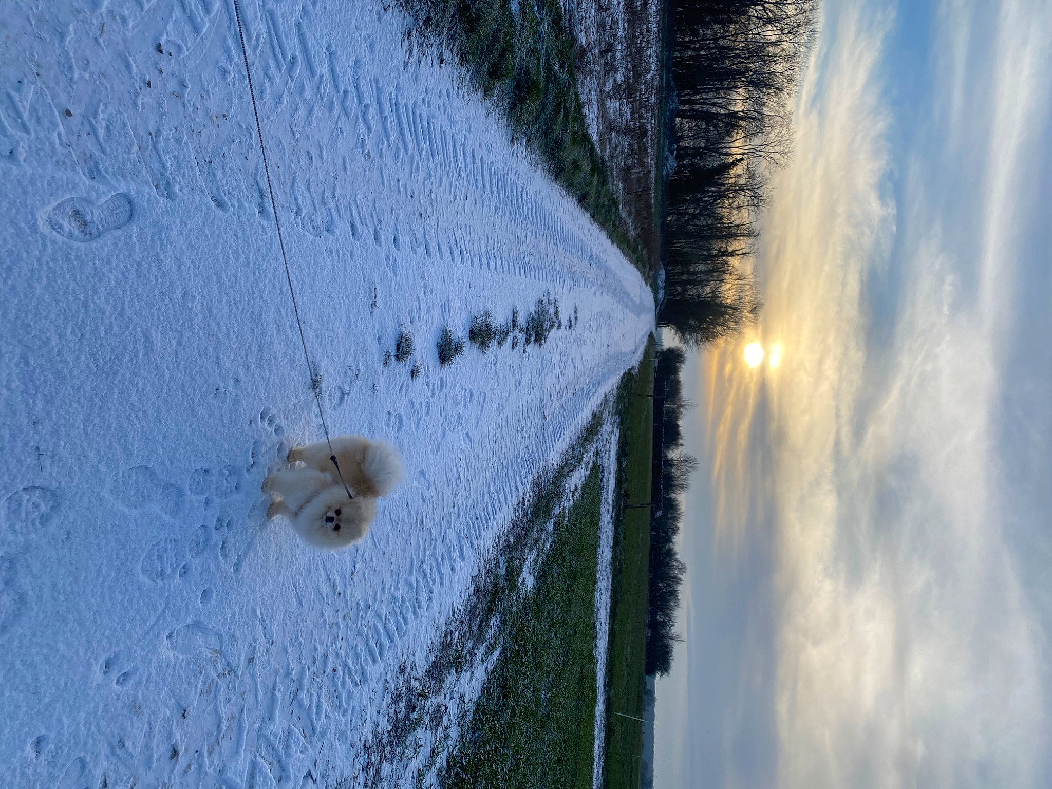 Loukoum participe au concours pour gagner de l'argent avec cette photo : circle, cloud, concrete, freezing, frost, geological_phenomenon, grass, landscape, plant, reflection, shadow, sky, slope, snow, tree, trunk, water, window, winter, wood