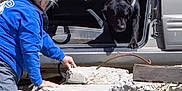 Bart joined the competition — help win amazing prizes! action, black_dog, blue_jacket, car, caution, concrete, daylight, dog, helmet, leash, open_door, outdoor, person, rescue, rocks, rubble, safety_gear, training, vehicle, workwear
