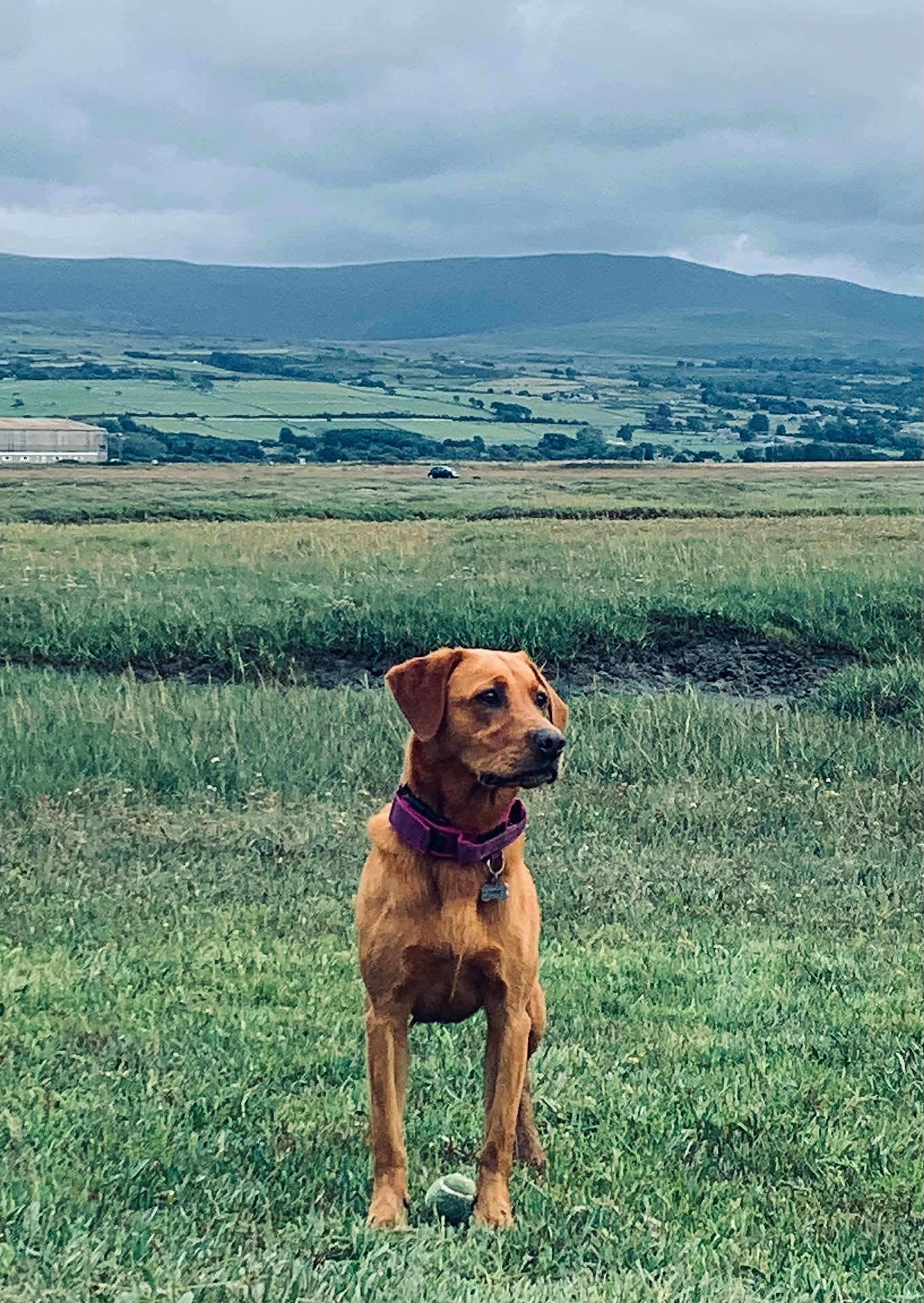 Luna
