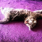 Dolly participe au concours pour gagner de l'argent avec cette photo :