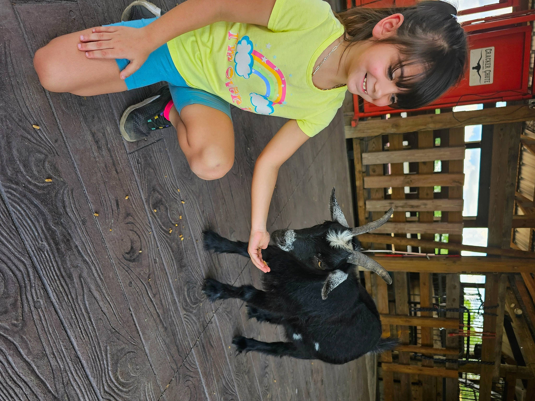 Ariyana is registered to the contest to win money with this photo: baby, baby_toddler_clothing, barefoot, child, companion_dog, dog, dog_breed, flooring, foot, fun, happy, human_leg, joy, leisure, pattern, person, play, sandal, smile, thigh