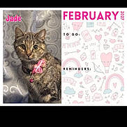 Jade joined the competition — help win amazing prizes! background_pattern, bell, bow, calendar, cat, close_up, collar, cute, fabric, february, indoor, name_text, pet, phone_ui, portrait, screenshot, tabby, template, whiskers, wide_eyes