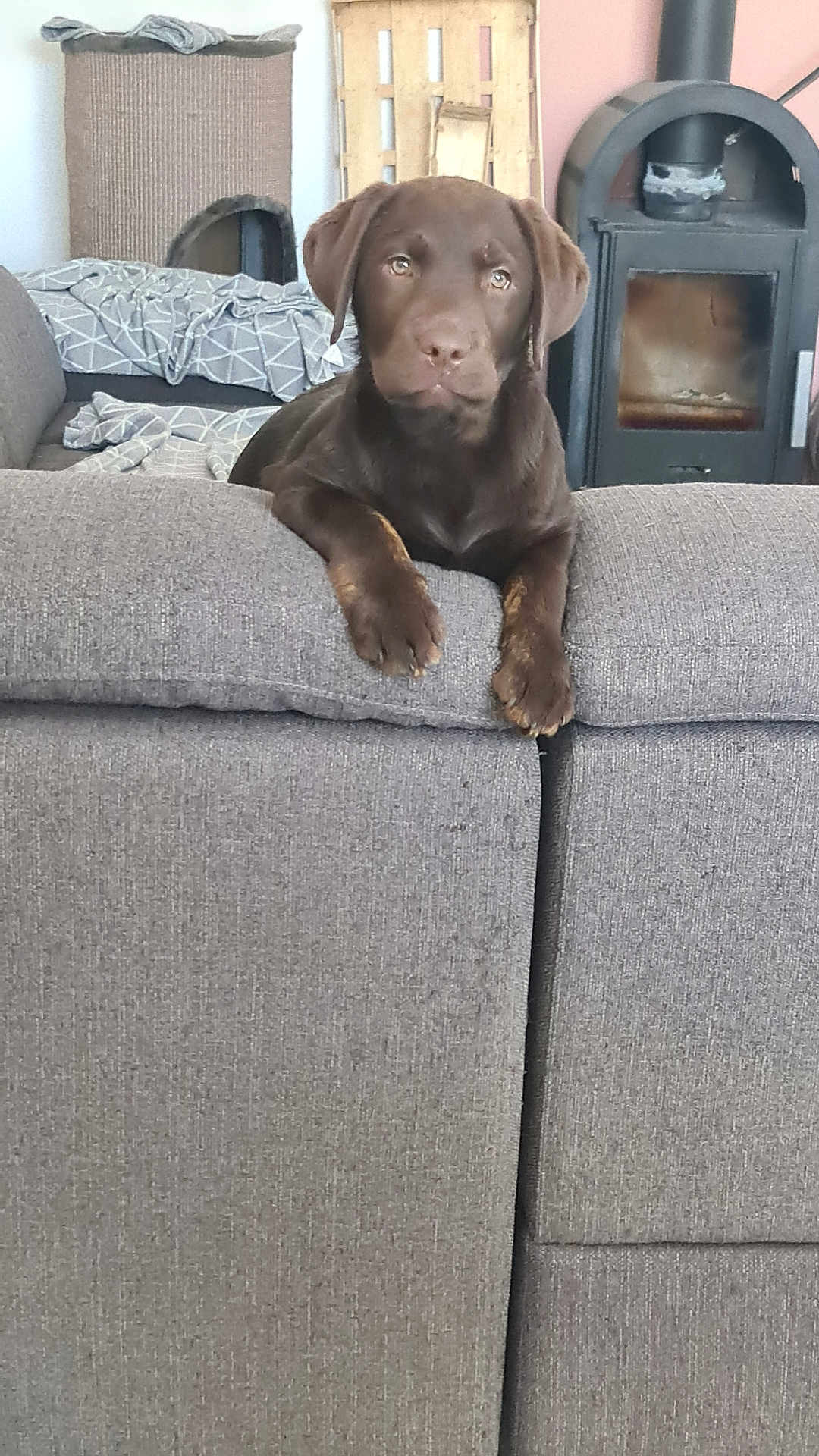 Mya