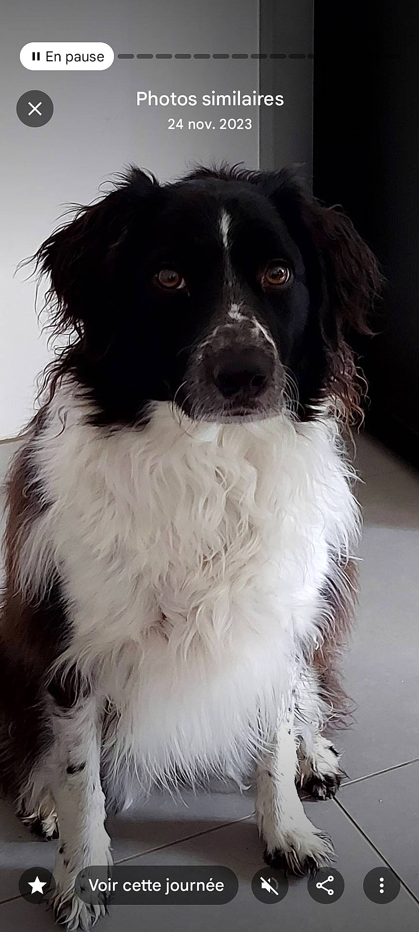 Iska