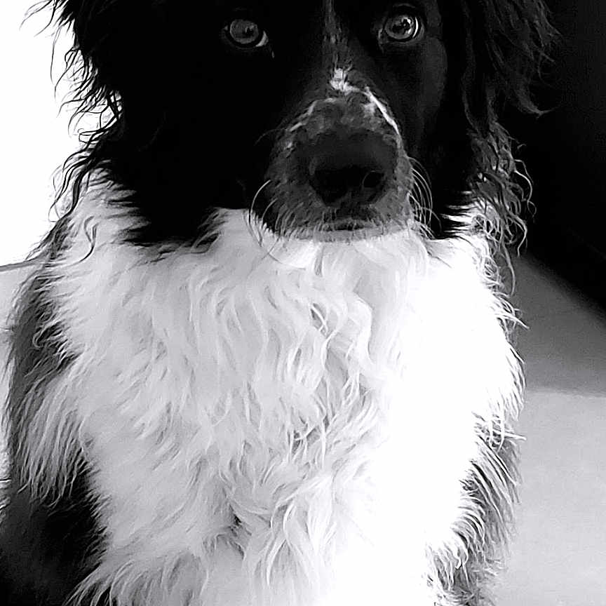 Iska
