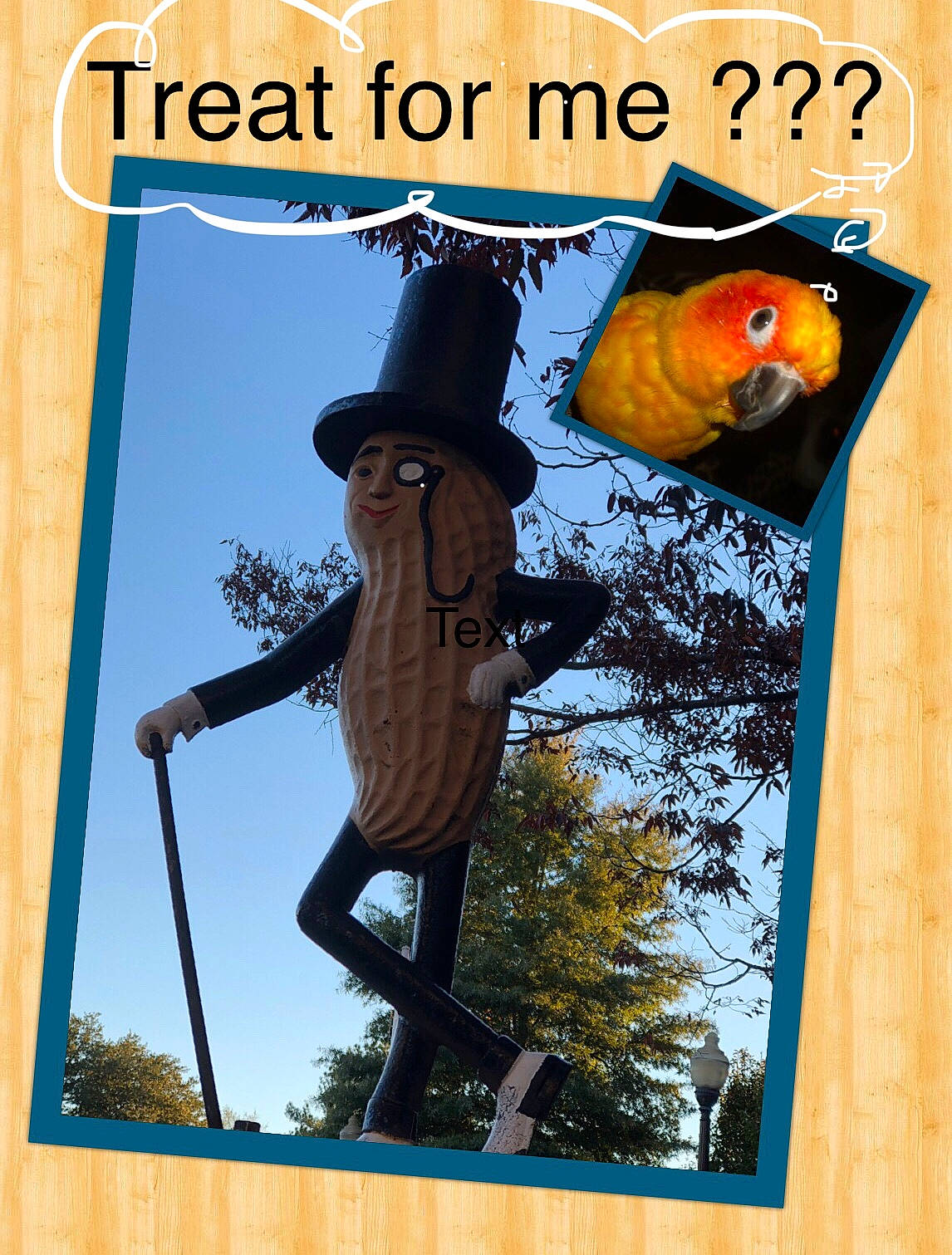 Jasper is registered to the contest to win money with this photo: organism, person, poster