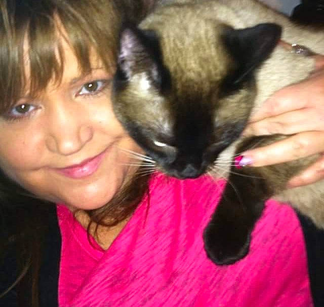 Sophie is registered to the contest to win money with this photo: balinese, carnivore, cat, ear, fawn, felidae, iris, javanese, kitten, person, siamese, small_to_medium_sized_cats, smile, thai, tonkinese, whiskers