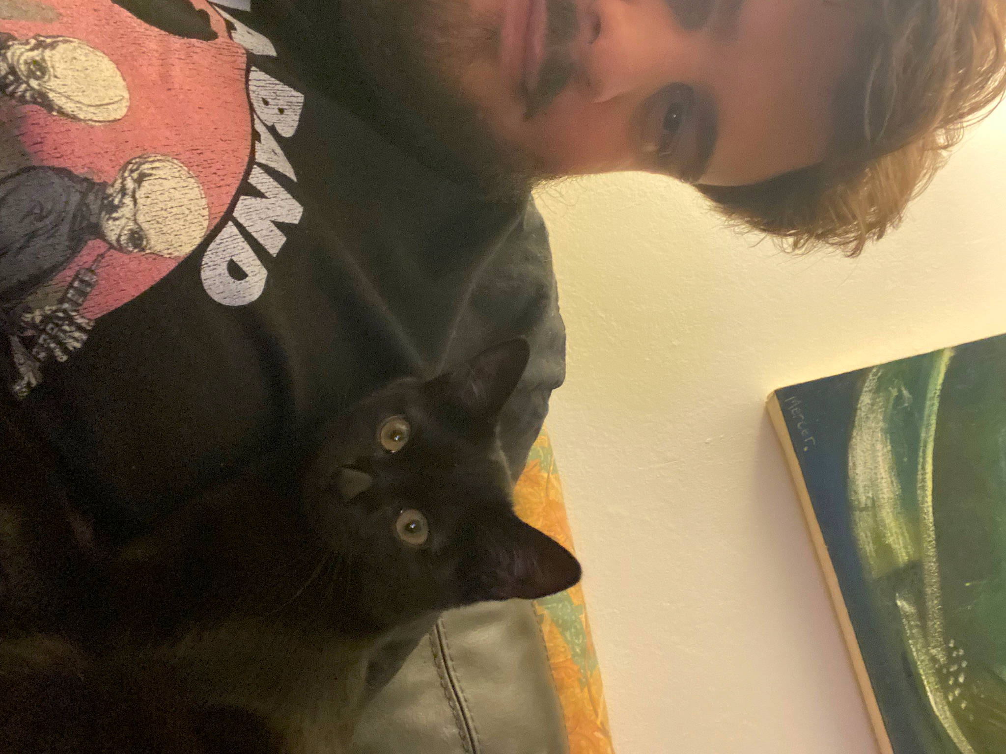 Gaia joined the competition — help win amazing prizes! beard, black, black_hair, carnivore, cat, chest, cool, domestic_short_haired_cat, ear, eyelash, facial_hair, felidae, fur, neck, organ, pattern, sleeve, small_to_medium_sized_cats, t_shirt, whiskers