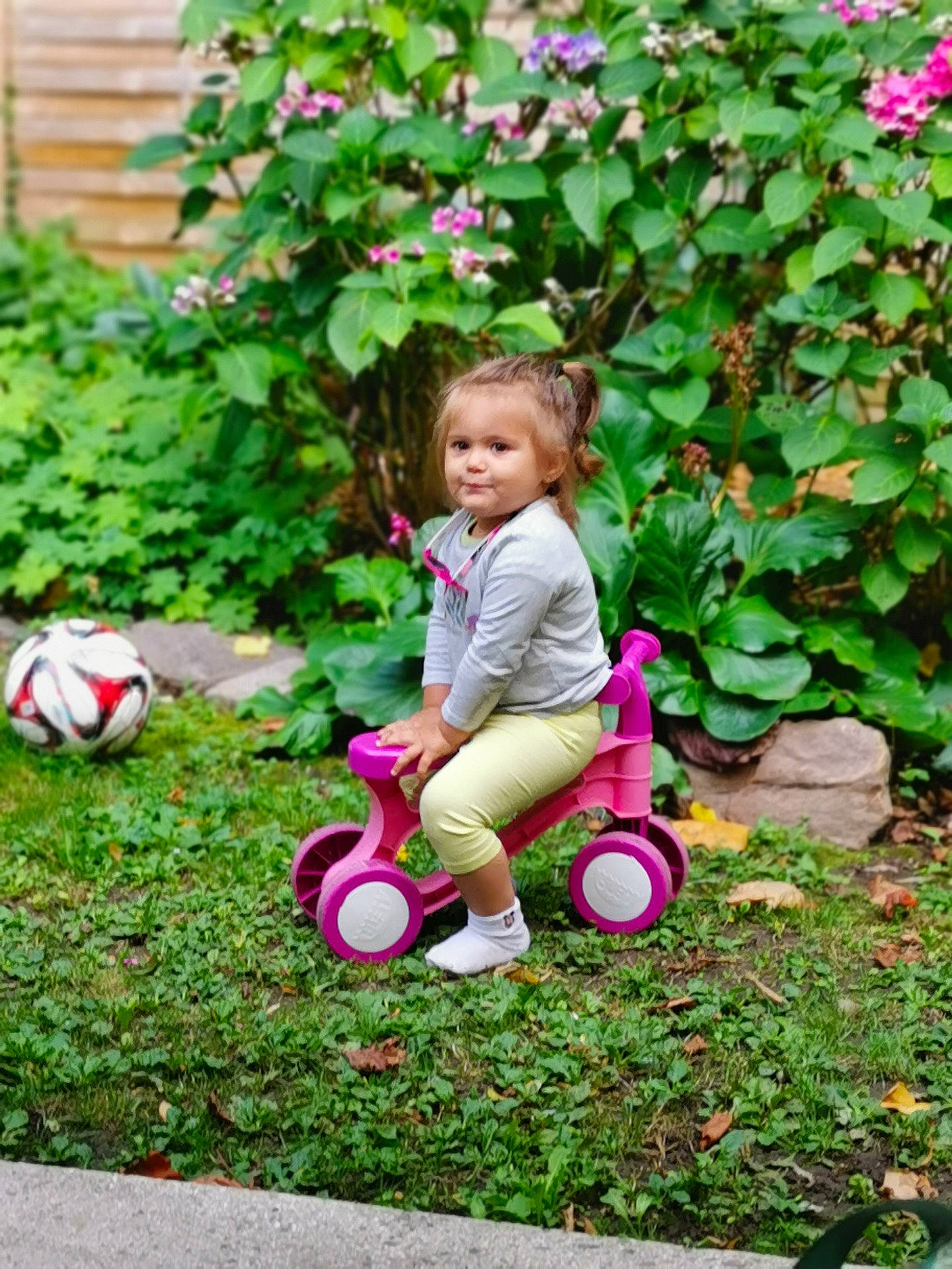 Skaylle participe au concours pour gagner de l'argent avec cette photo : child, flower, garden, grass, person, pink, plant, play, sitting, toddler, yard