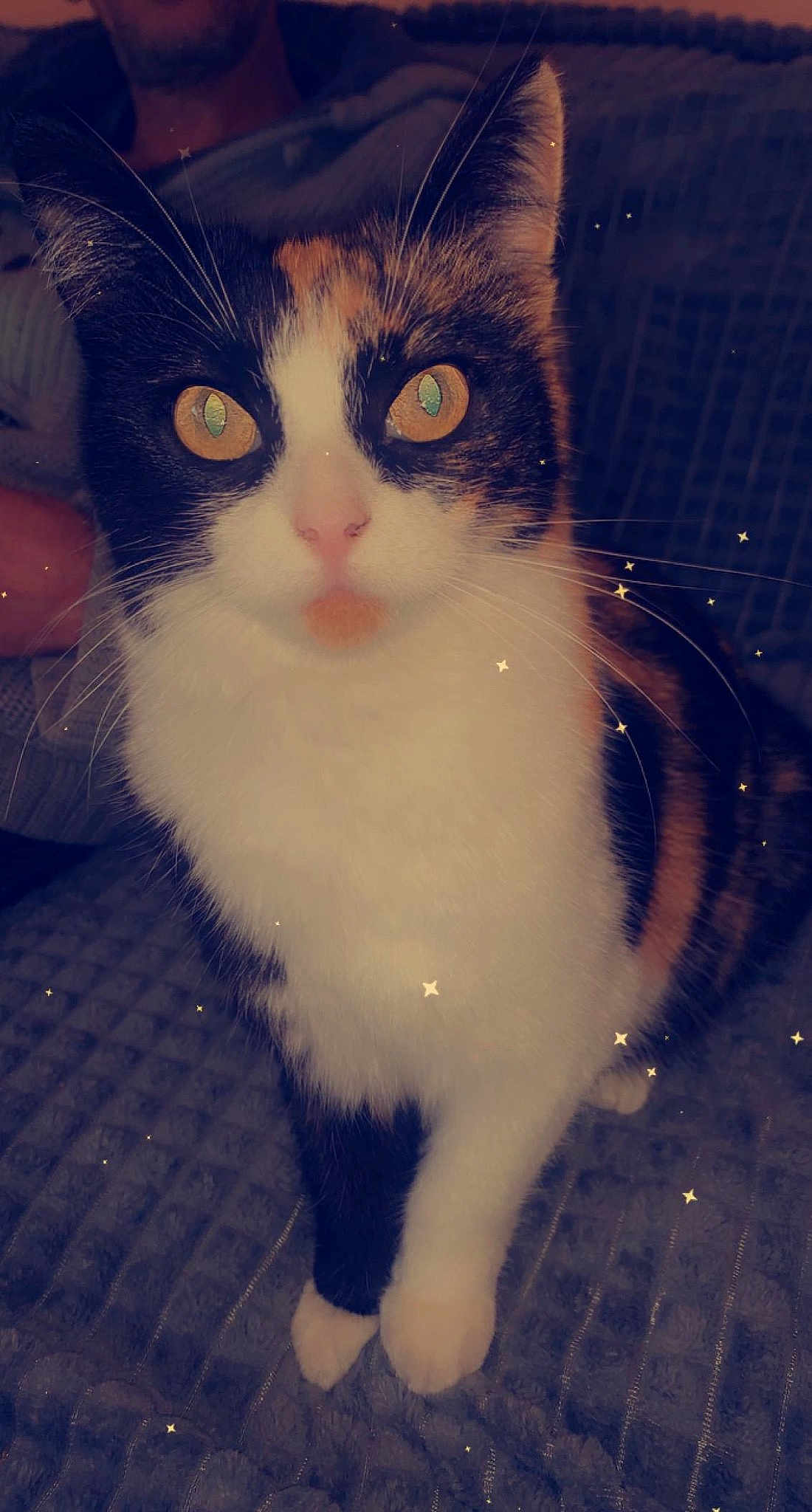 Nala