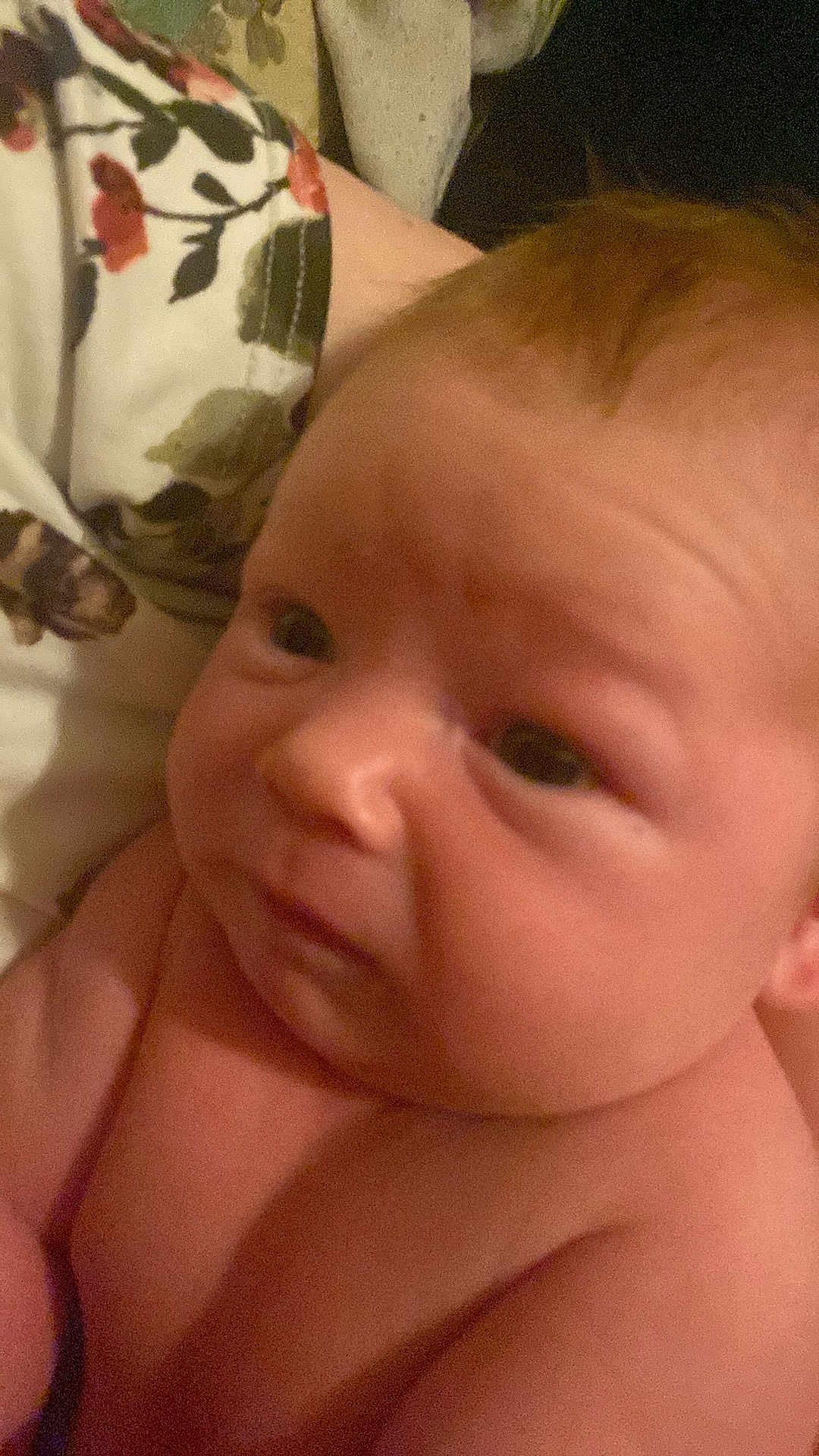 Gary is registered to the contest to win money with this photo: baby, infant, face, skin, head, expression, curious, newborn, child, person, closeup, indoors, blanket, floral_pattern, soft_light, portrait, human, cute, young, newborn_baby