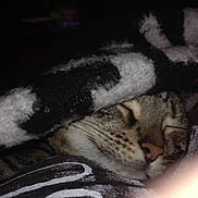 Storm is registered to the contest to win money with this photo: