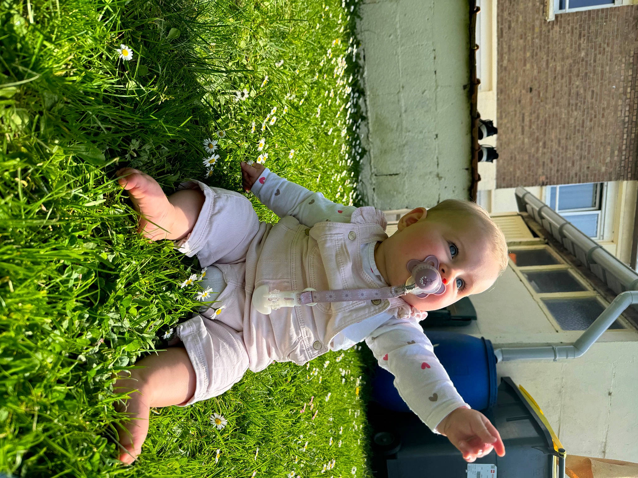 Victoire participe au concours pour gagner de l'argent avec cette photo : baby, baby_toddler_clothing, child, fun, goggles, grass, happy, hat, leisure, people_in_nature, person, plant, recreation, sunglasses, tire, toddler, tree, vehicle_door, wheel, yard