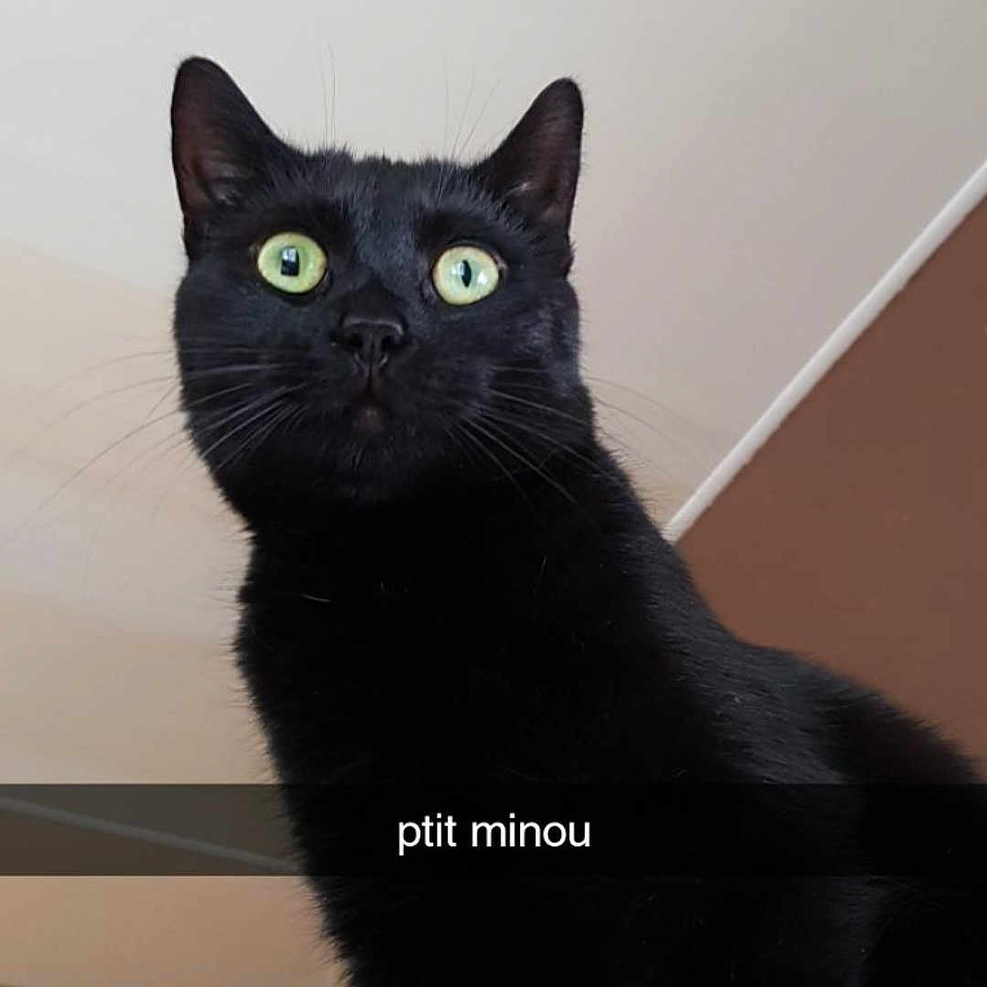 Salem