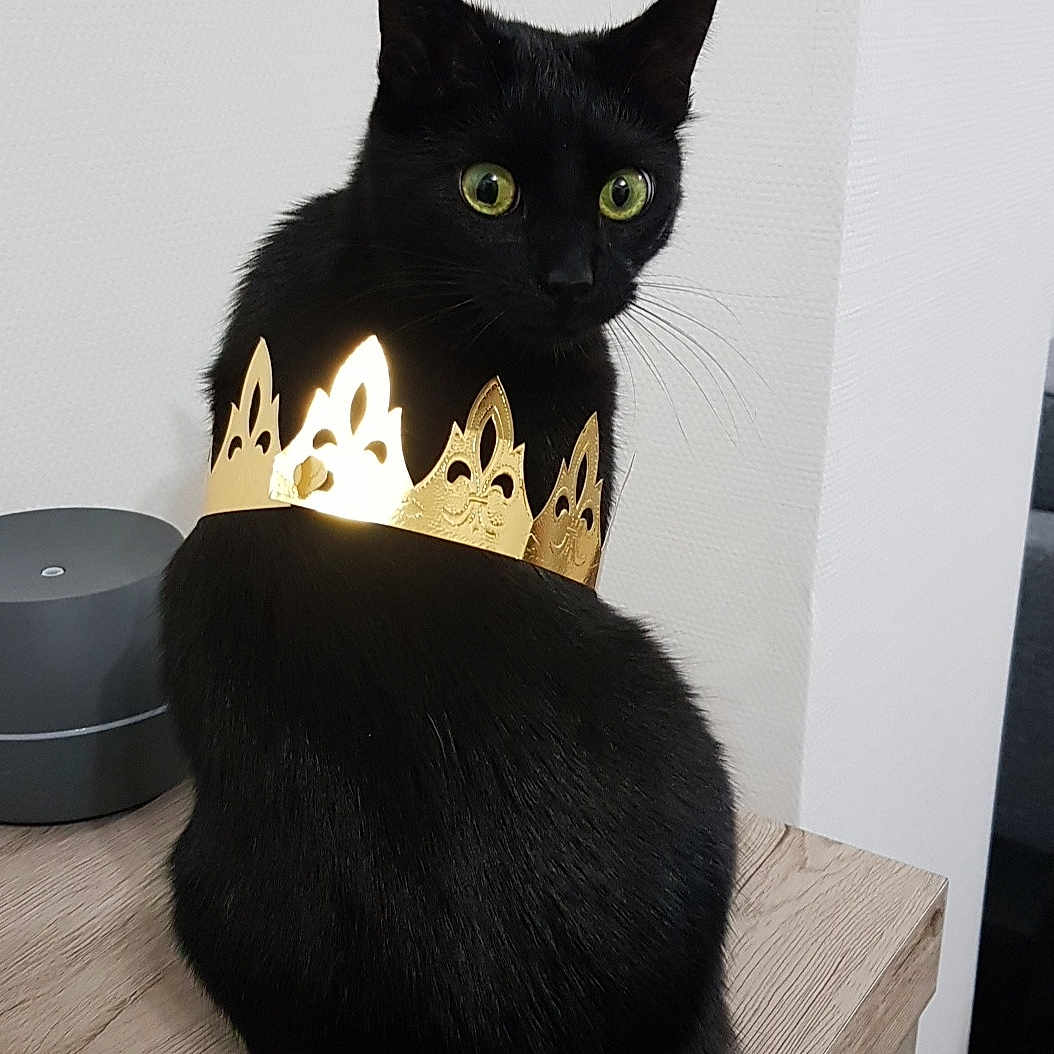 Salem