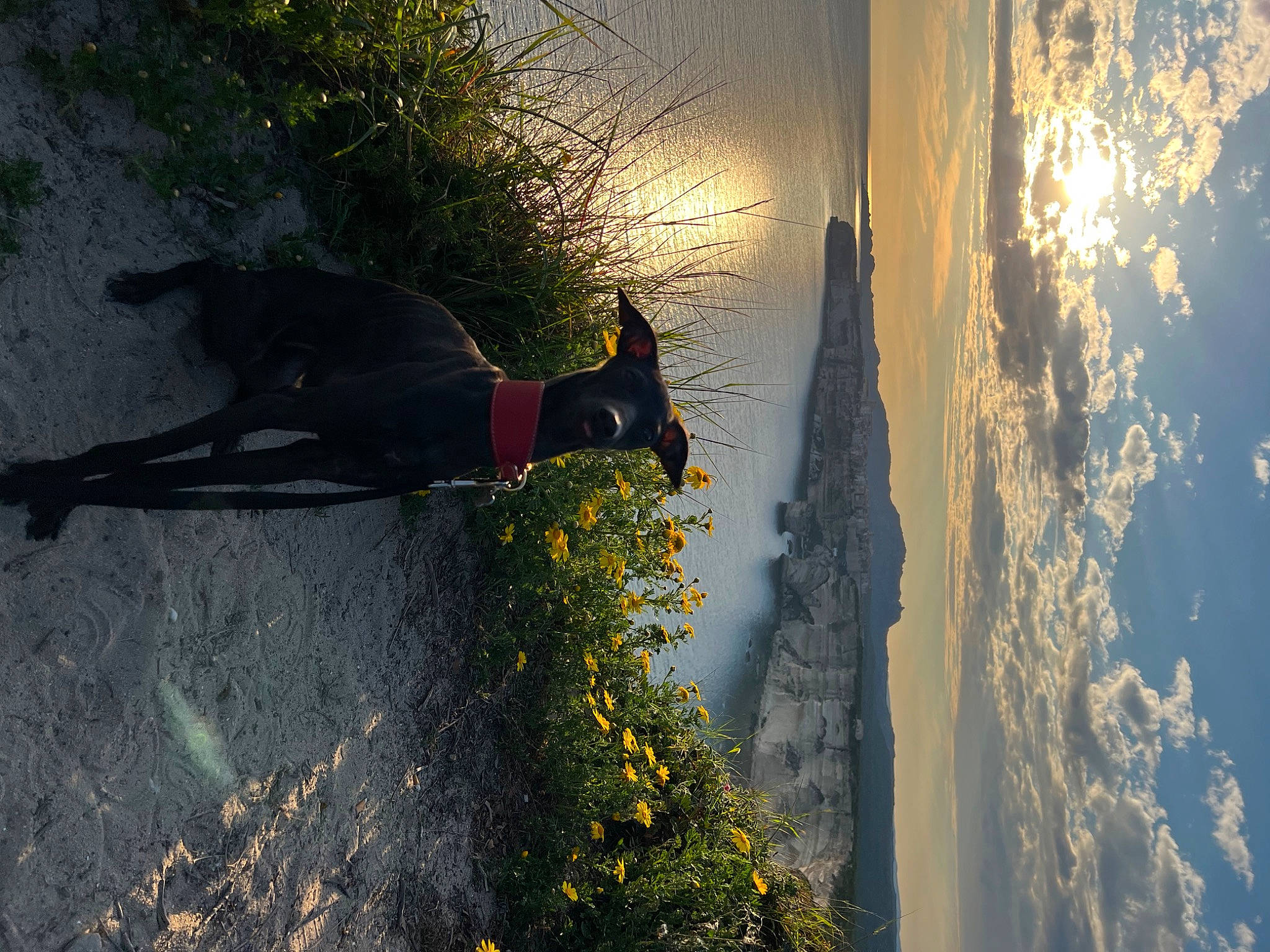 Ziggy participe au concours pour gagner de l'argent avec cette photo : backlighting, biome, branch, flower, freezing, grass, landscape, light, morning, mountain, people_in_nature, plant, sky, slope, sunlight, tints_and_shades, tree, vegetation, water, wood