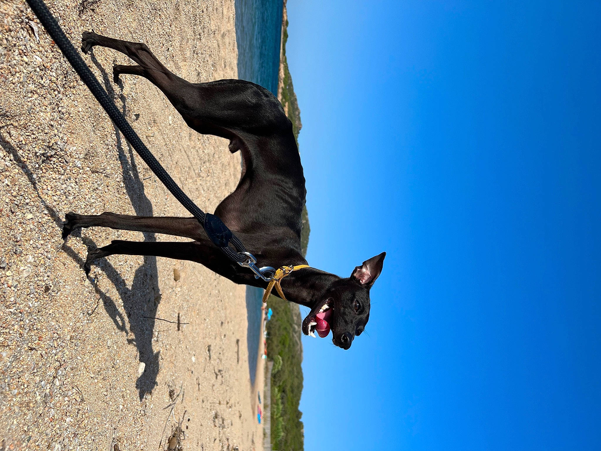 Ziggy participe au concours pour gagner de l'argent avec cette photo : adventure, air_sports, climbing, climbing_harness, extreme_sport, jumping, leisure, mountaineer, recreation, rock_climbing, rock_climbing_equipment, rope, sky, soil, sport_climbing, sports, street_stunts, stunt_performer, tree, trunk