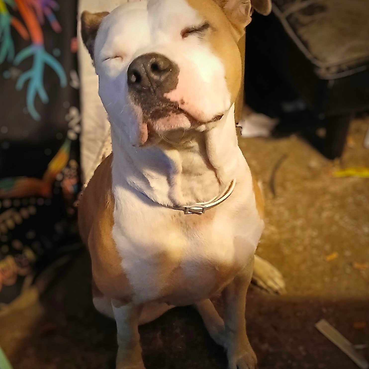 Chloe
