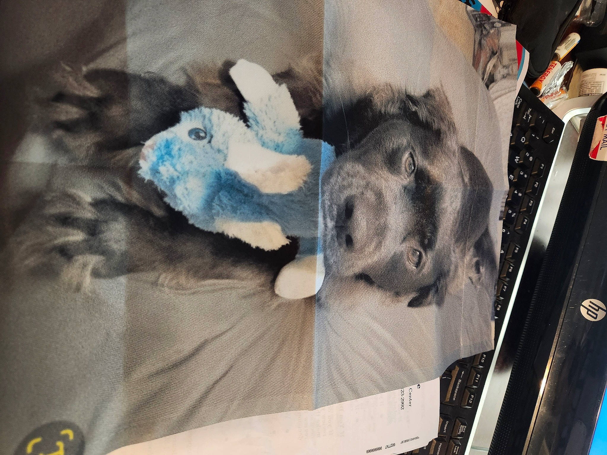 Winston joined the competition — help win amazing prizes! art, automotive_design, automotive_tire, canidae, carnivore, comfort, companion_dog, dog, dog_breed, fur, grey, hood, linens, painting, sporting_group, toy, vehicle_door, visual_arts, working_animal