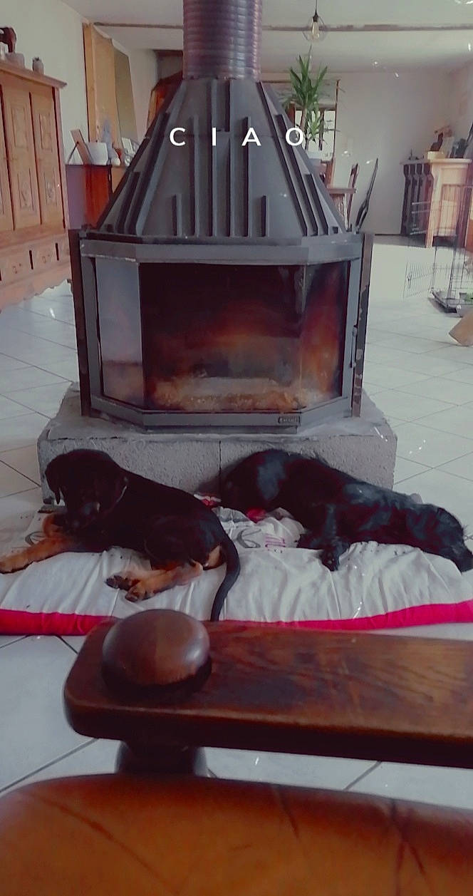 Jack a rejoint le concours — aidez-le/la à gagner de superbes lots ! floor, furniture, hardwood, sporting_group