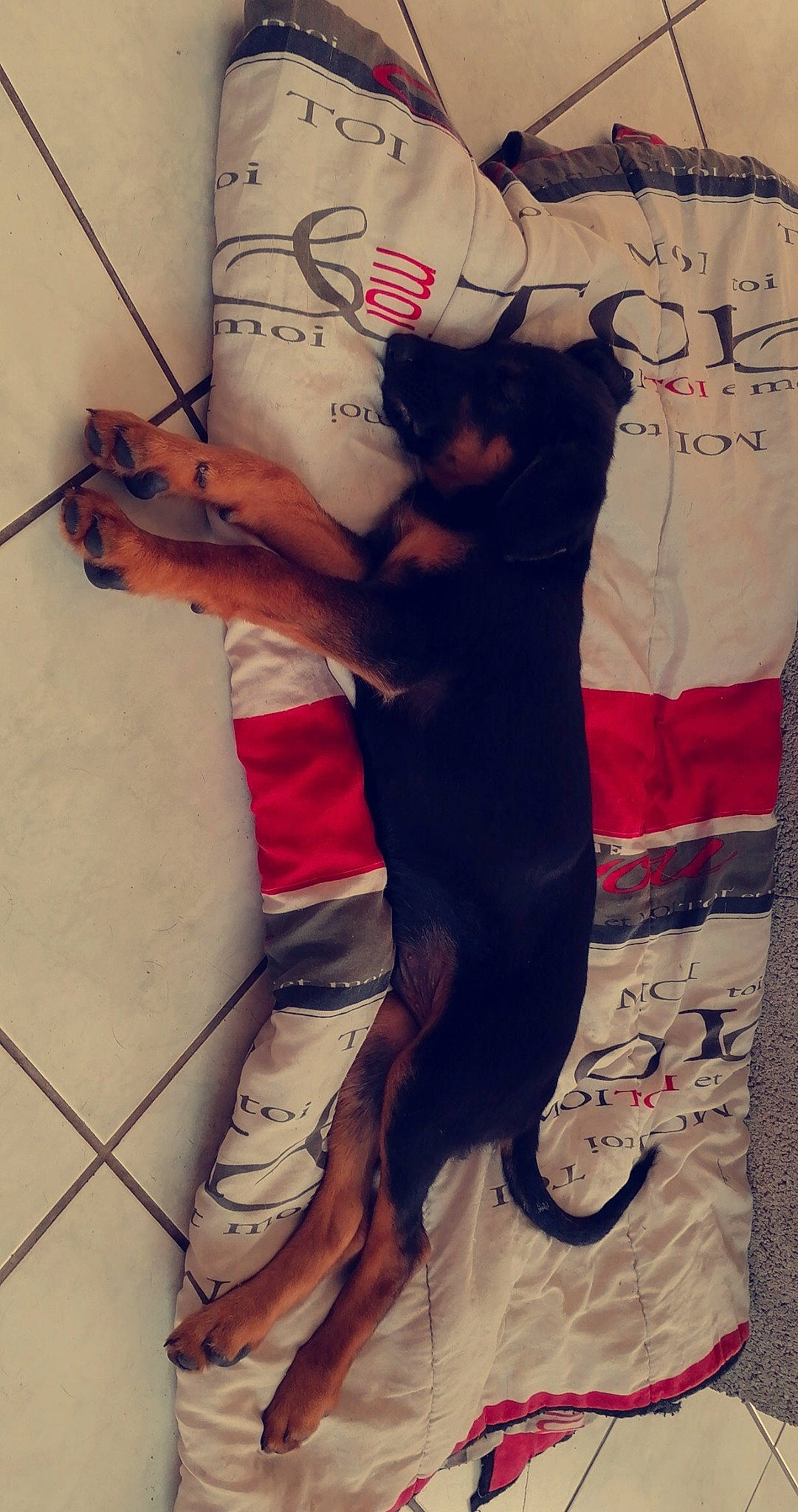 Jack a rejoint le concours — aidez-le/la à gagner de superbes lots ! art, drawing, graffiti, illustration, leg, street_art, wall